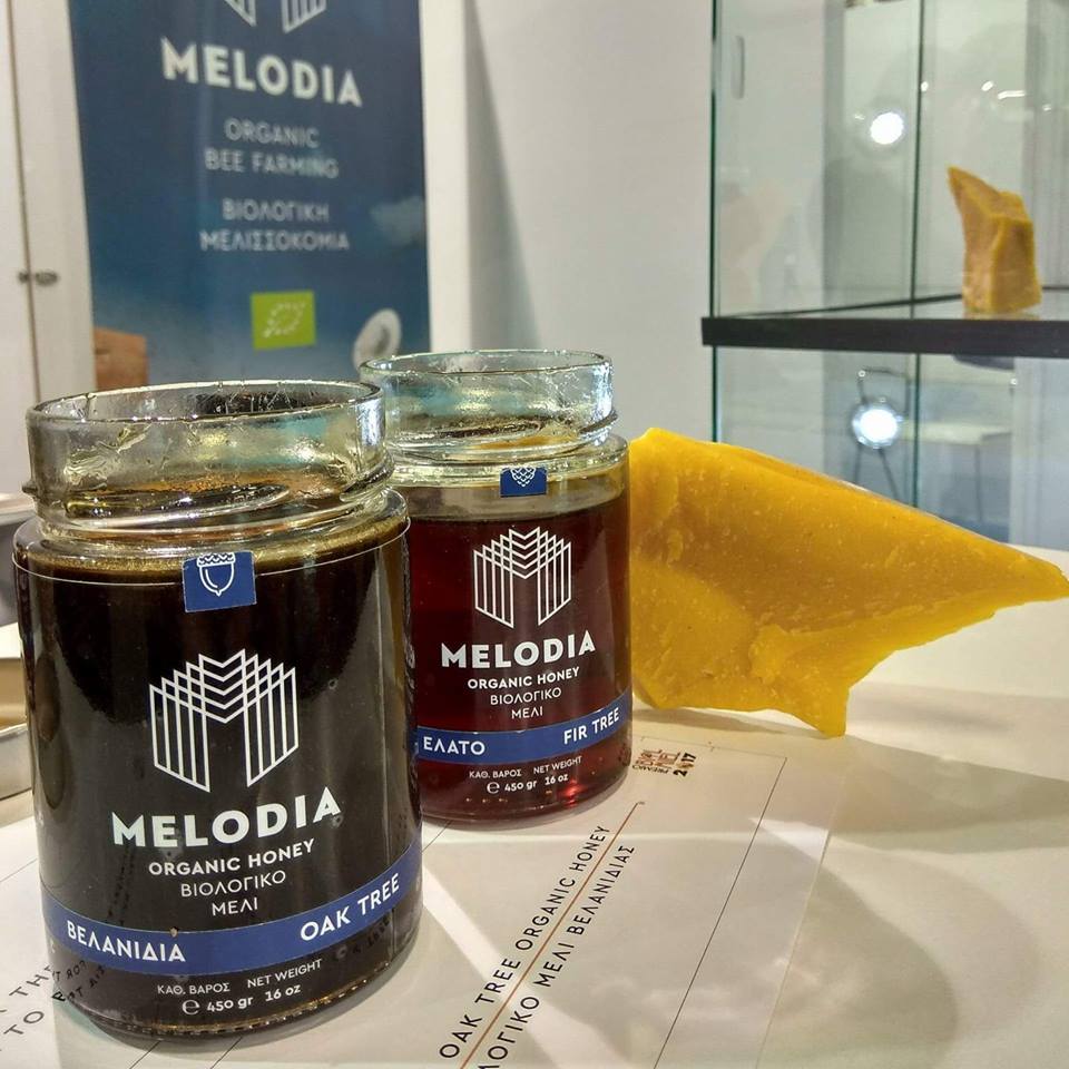 https://olameli.gr/wp-content/uploads/2019/02/Melodia-3.jpg