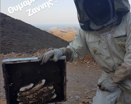 Θυμαρίσιο Μέλι Ζαννής