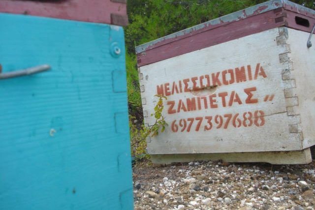 Ζαμπέτας μελισσοκομία
