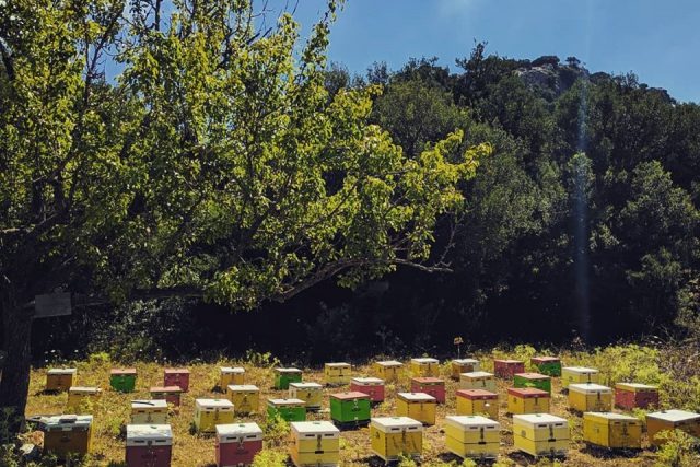Κωστάκης Κώστας