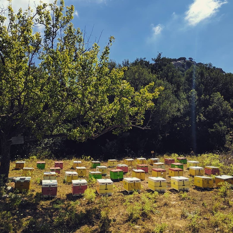 https://olameli.gr/wp-content/uploads/2019/07/ΚΩΣΤΑΚΗΣ-ΚΩΣΤΑΣ.jpg