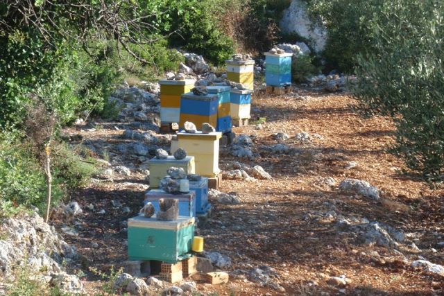 Χρυσό Μέλι Ζακύνθου