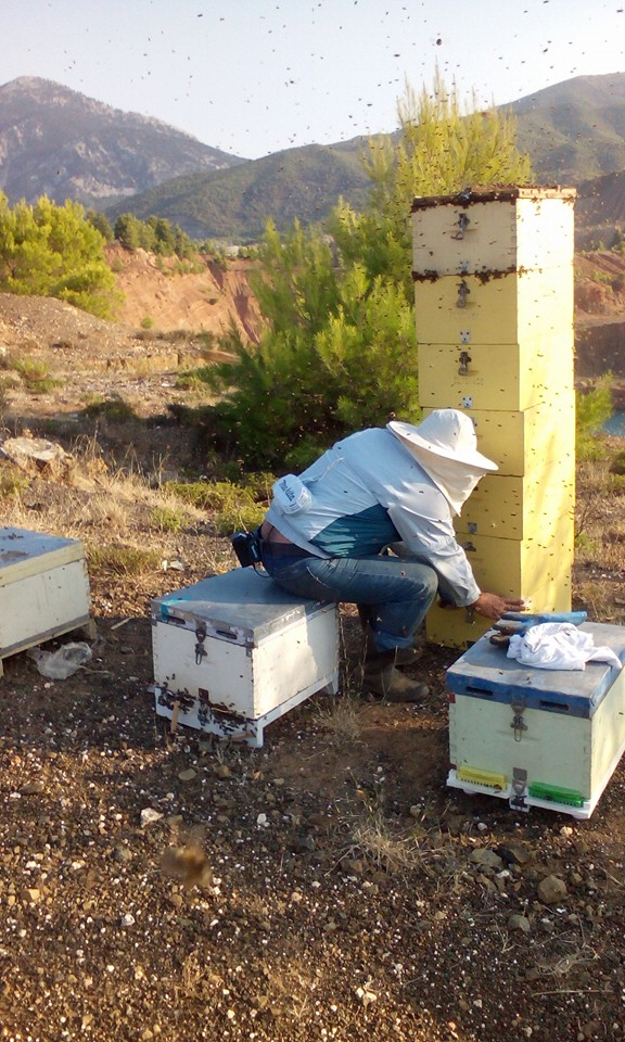 https://olameli.gr/wp-content/uploads/2019/08/14355689_1778828162354692_8834999623006552913_n.jpg