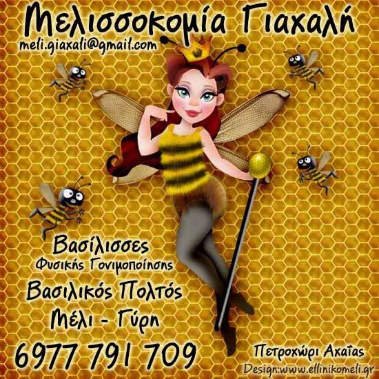 https://olameli.gr/wp-content/uploads/2019/08/16730113_1059272734219326_1644347597270347934_n.jpg