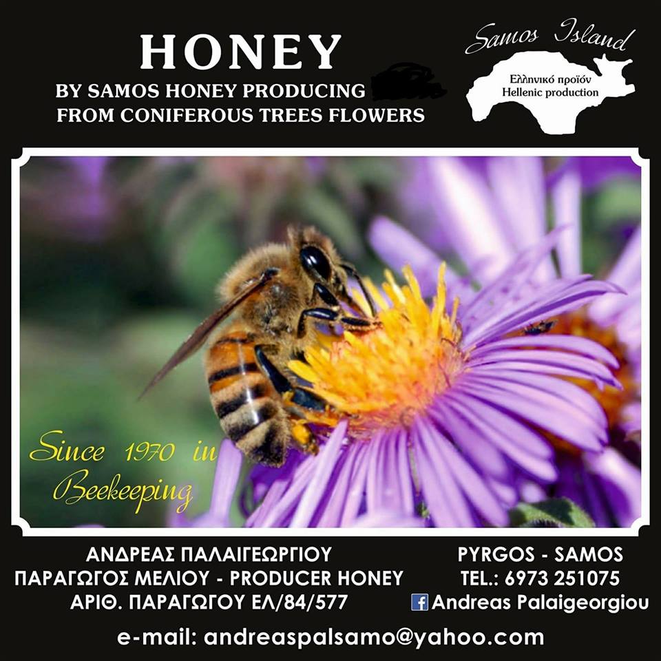 https://olameli.gr/wp-content/uploads/2019/08/30629943_456868288082645_7158371302905181845_n.jpg