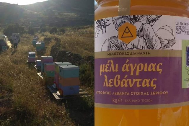 Μελισσώνας Διαμαντή