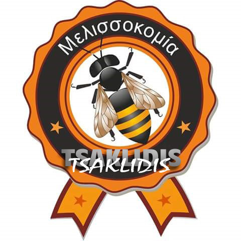 https://olameli.gr/wp-content/uploads/2019/12/72957288_956354028030427_1941688348686942208_n.jpg