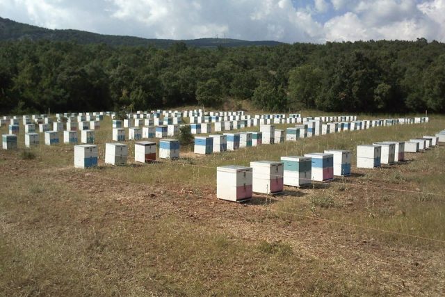Κωνσταντίνος