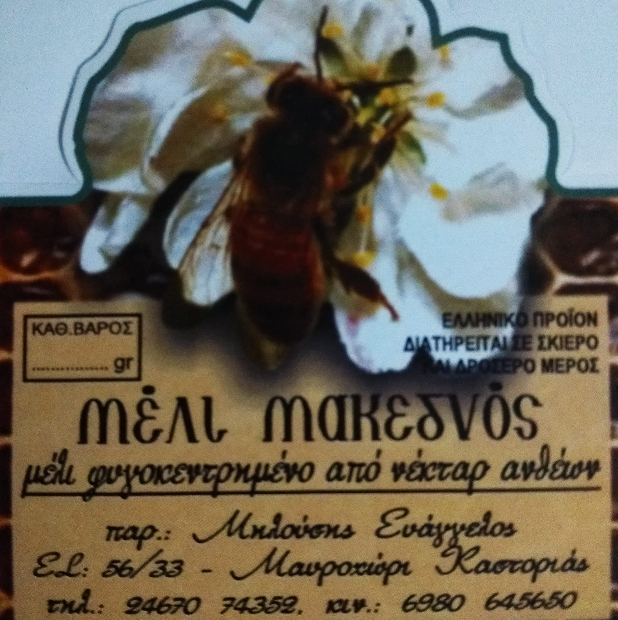 https://olameli.gr/wp-content/uploads/2020/01/72342002_113223163432895_8192003037347184640_o.jpg