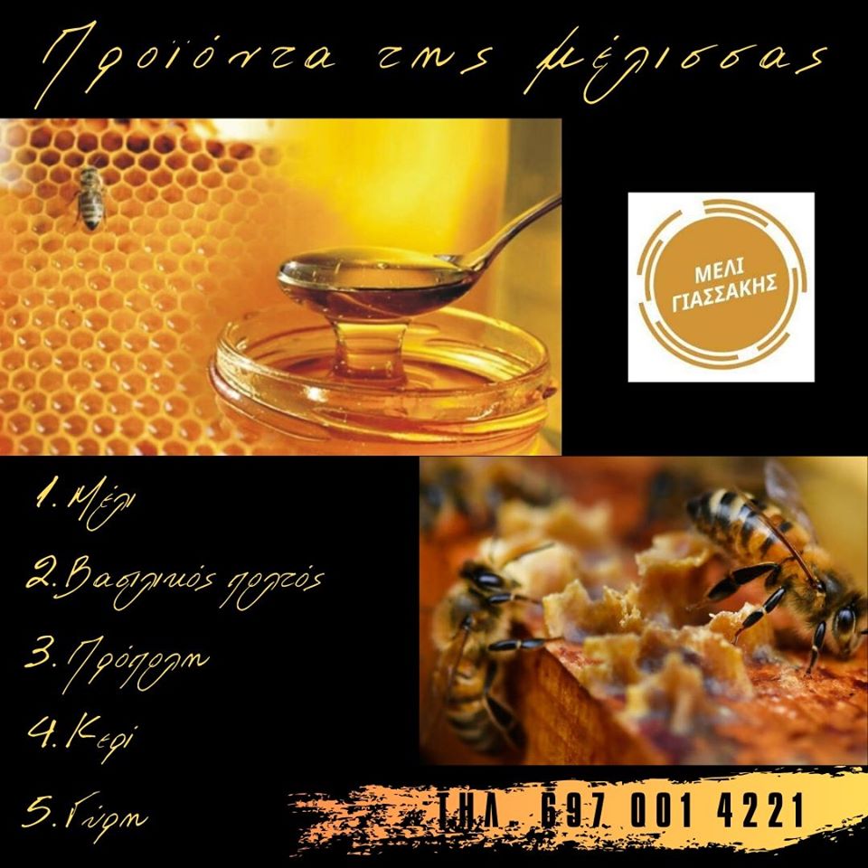 https://olameli.gr/wp-content/uploads/2020/03/86807869_176788250431129_763452130743812096_o.jpg