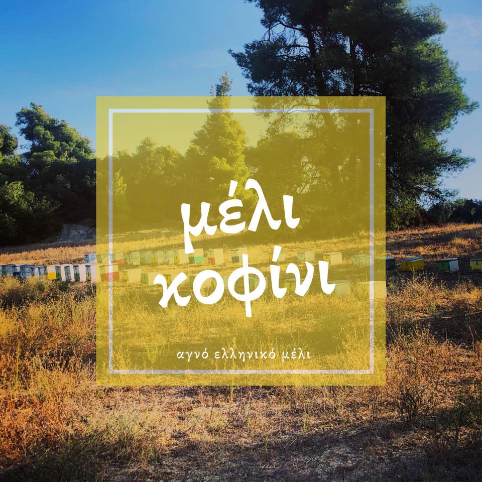 https://olameli.gr/wp-content/uploads/2020/03/90748778_1486120314898980_7727648855684022272_n.jpg
