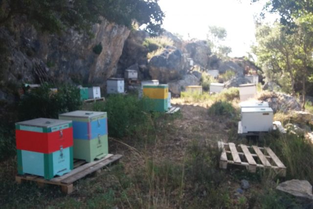 Κρουστάς Μέλι
