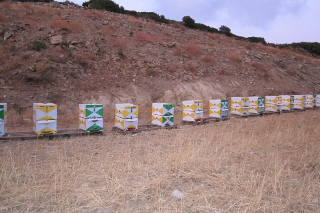 Πολυκρέτης Γεώργιος
