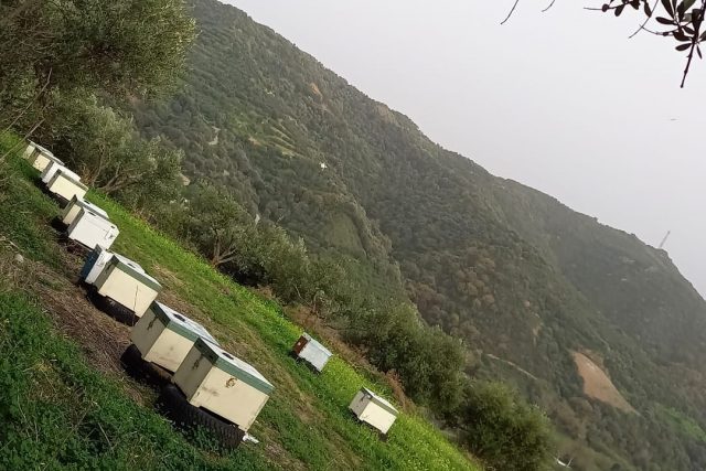 Κλαράκης Honey
