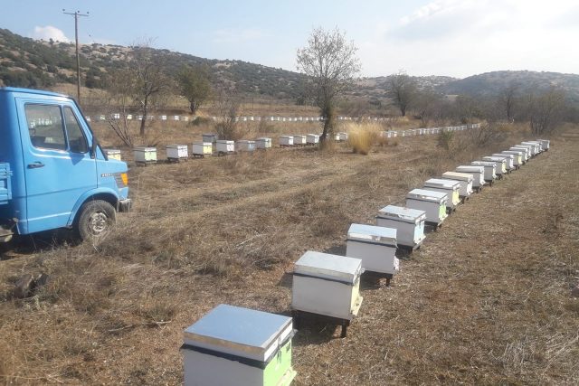 Δόβας Νικόλαος