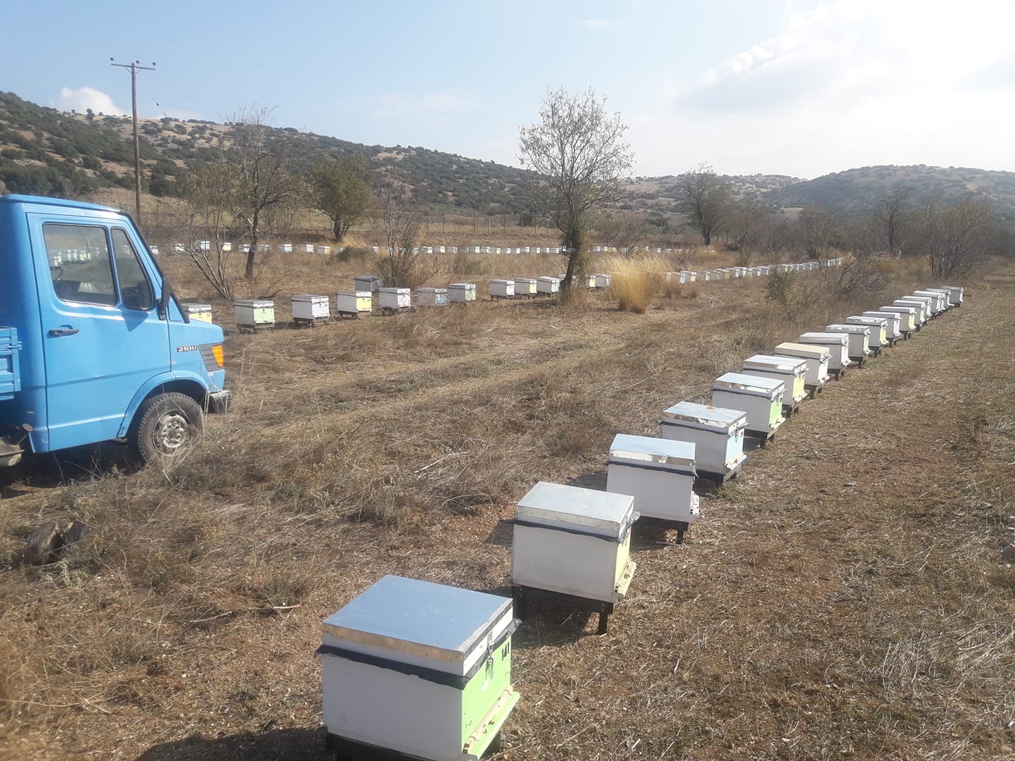 https://olameli.gr/wp-content/uploads/2021/03/48170968_2435703186440074_6861105612776800256_o.jpg