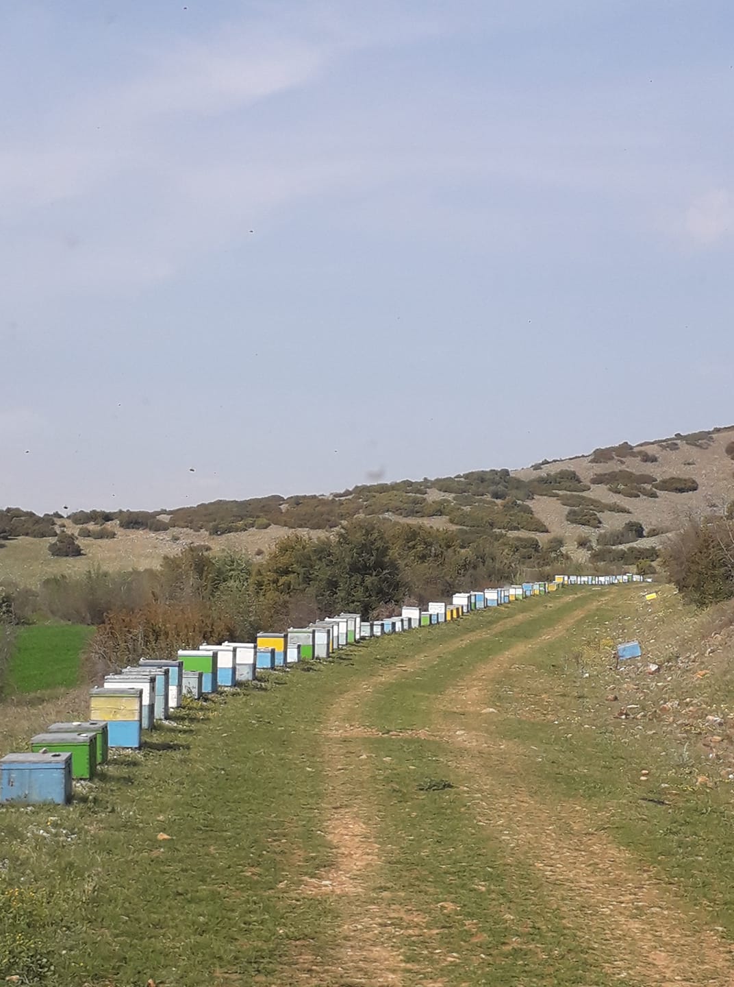 https://olameli.gr/wp-content/uploads/2021/03/56140527_10157060604788609_3569907955224543232_o.jpg