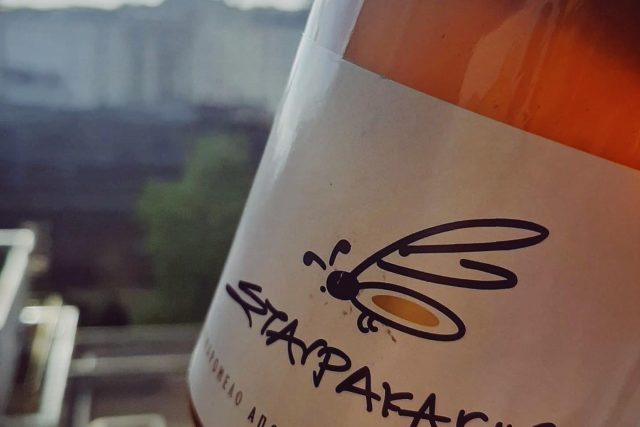 Μέλι Σταυρακάκης