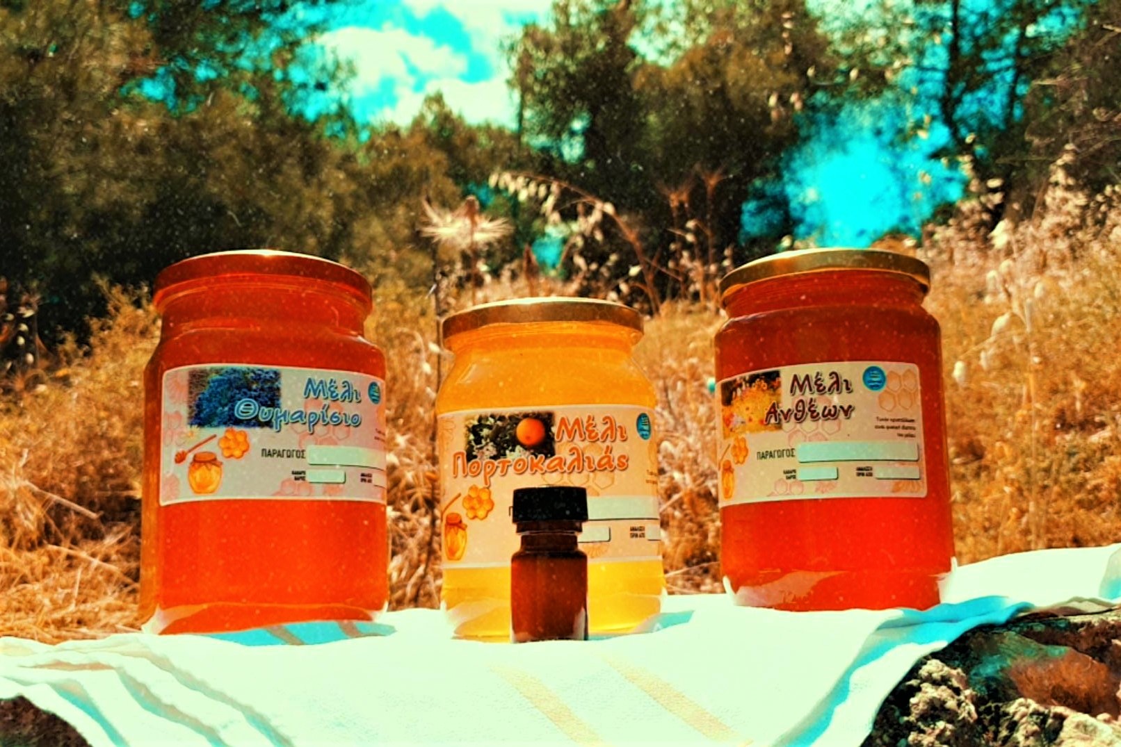 https://olameli.gr/wp-content/uploads/2021/03/IMG_20200523_121511_643.jpg