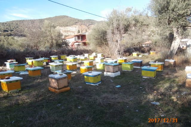Μέλι Παγγαίον