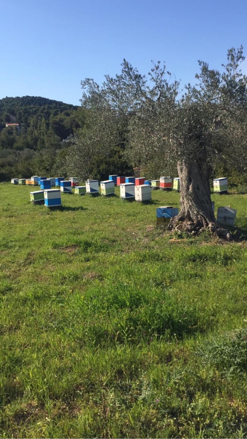 https://olameli.gr/wp-content/uploads/2021/05/εικόνα_Viber_2021-05-13_15-14-54.jpg
