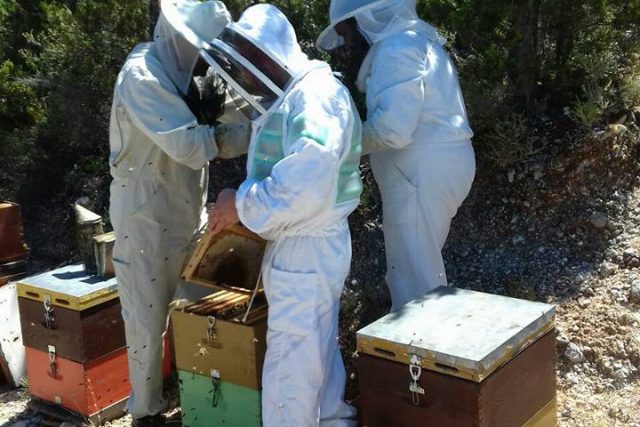Μπακαλάρος Γιώργος