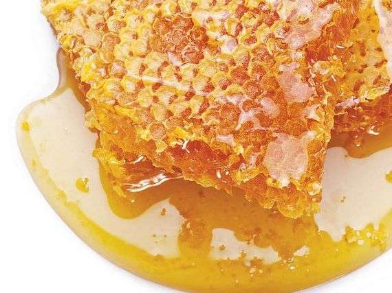 Παππάς Κωνσταντίνος