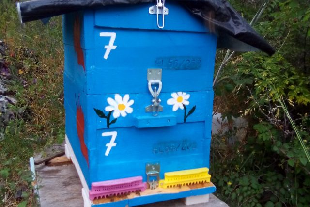 Καράμπινας Αβραάμ