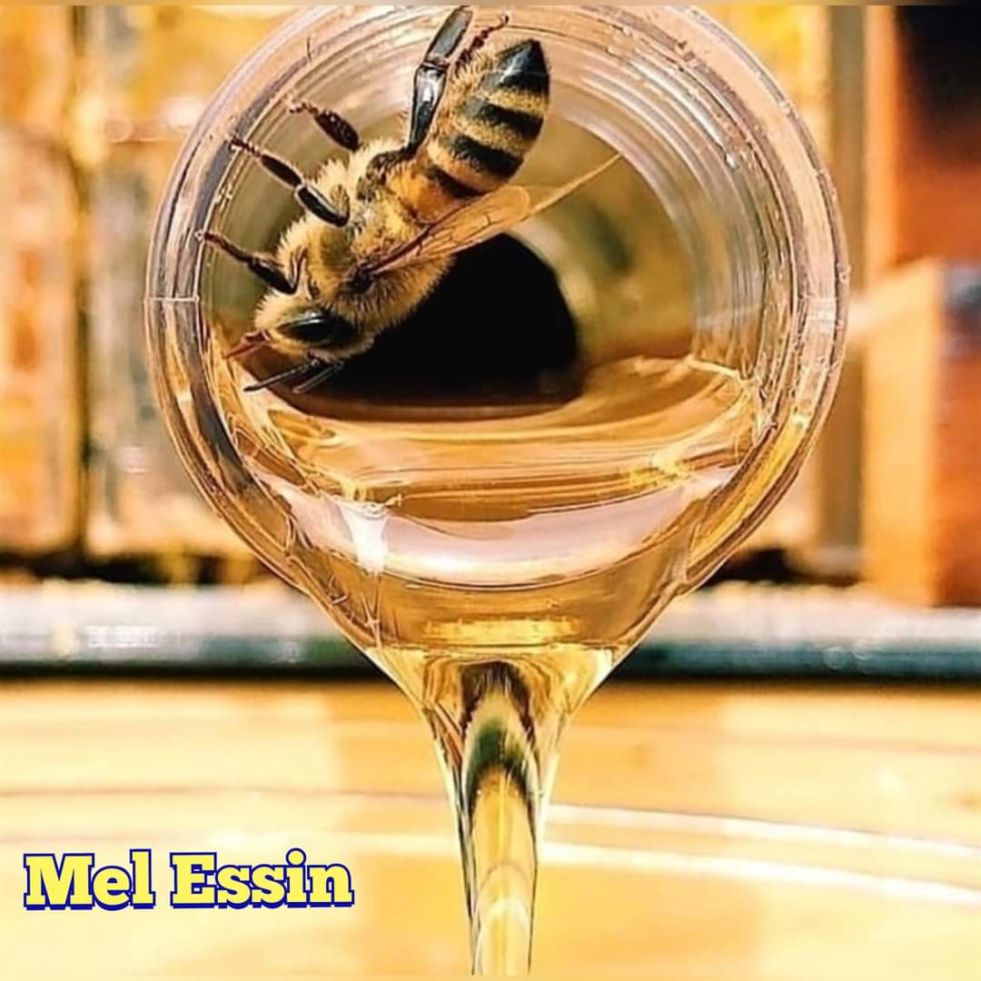 https://olameli.gr/wp-content/uploads/2022/05/FB_IMG_1653774629420.jpg